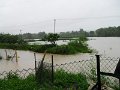 Povodne 203-2010   36